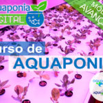 Curso Avançado de Aquaponia