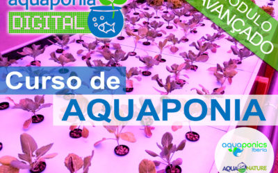 Curso Avançado de Aquaponia