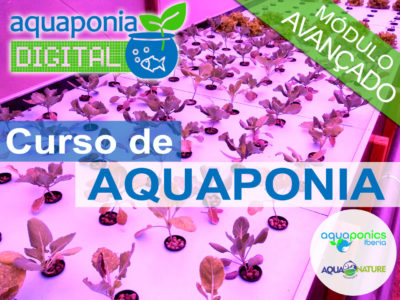 Curso Avançado de Aquaponia