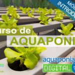 Curso de Introdução à Aquaponia