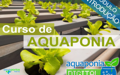 Curso de Introdução à Aquaponia