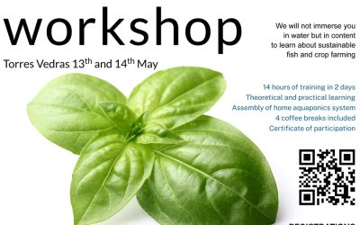 Aquaponics immersive weekend workshop